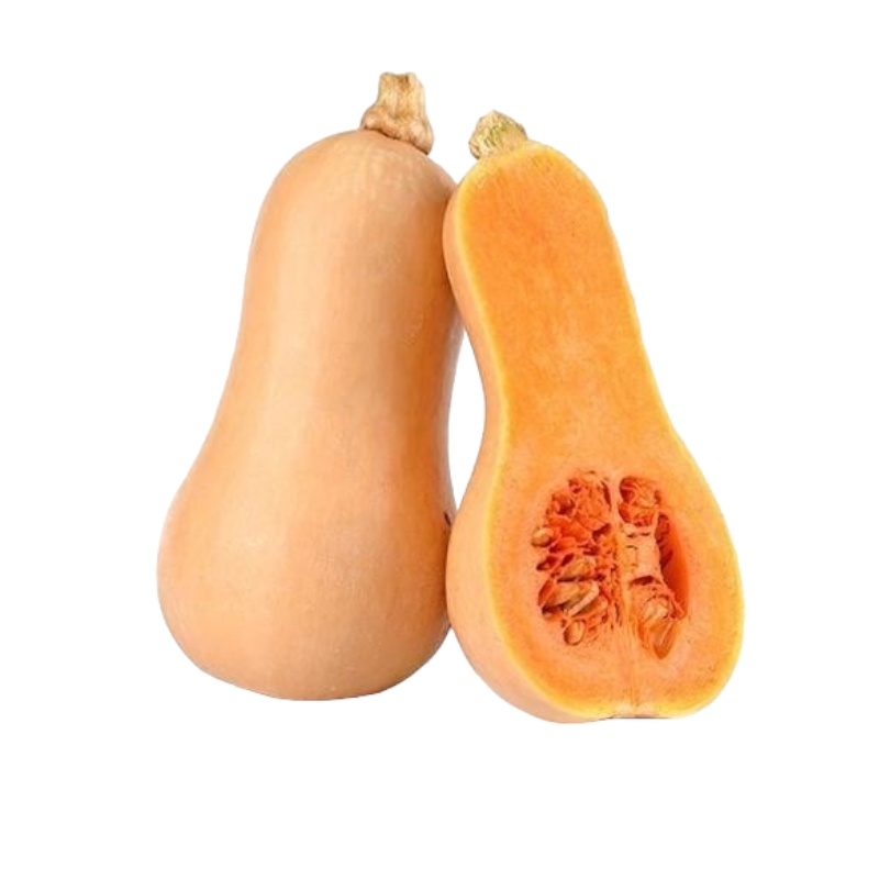Butternut Squash | Batana