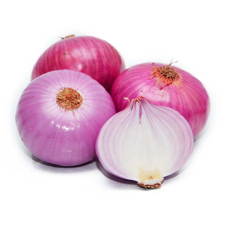 Big Onion | Vengayam (India)
