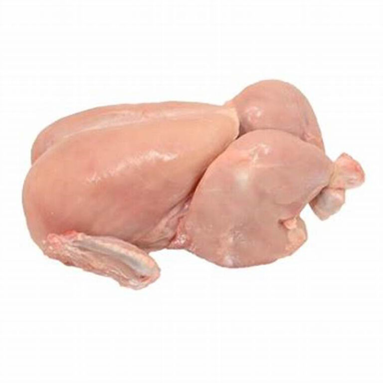 Fresh Broiler Chicken