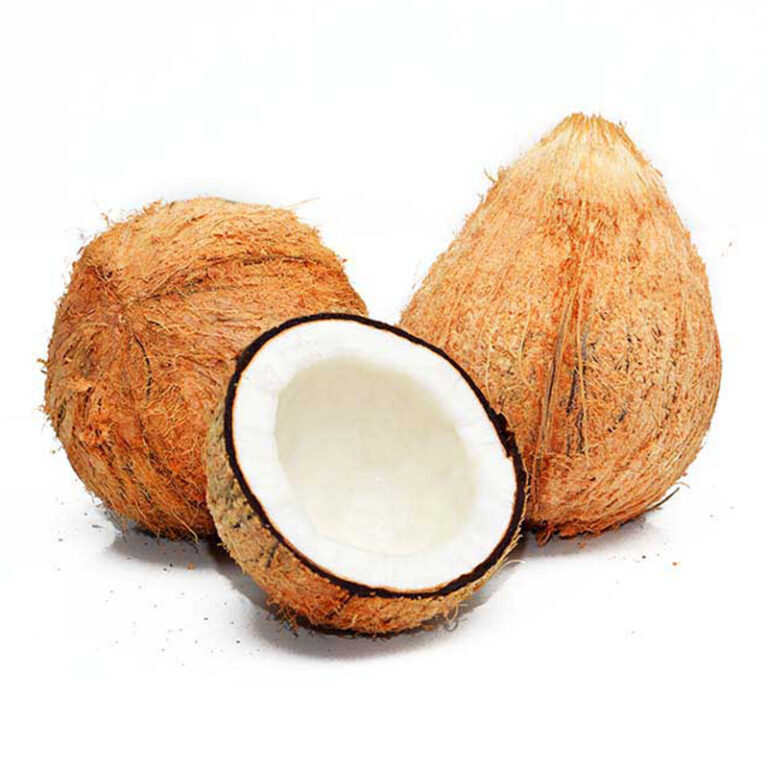Coconut | Thenga
