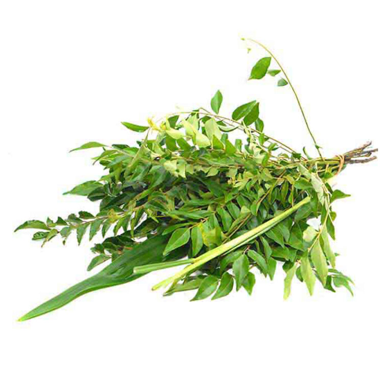 Curry Leaves & Rampa - KiyaGo