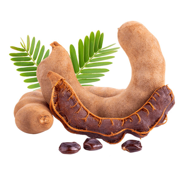 Tamarind Fruit | Vadu Puli - KiyaGo